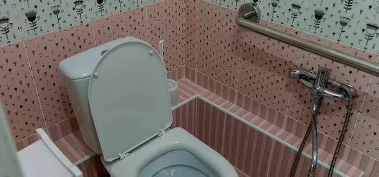 Meeting Diverse Needs With Accessible Restroom Solutions in Chesapeake, VA